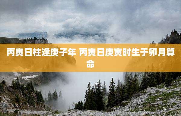 丙寅日柱逢庚子年 丙寅日庚寅时生于卯月算命