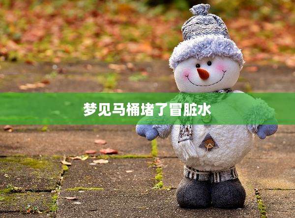 梦见马桶堵了冒脏水