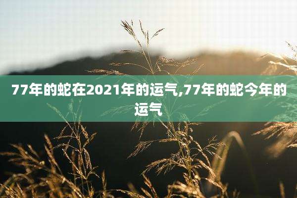 77年的蛇在2021年的运气,77年的蛇今年的运气