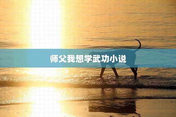 师父我想学武功小说
