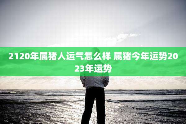 2120年属猪人运气怎么样 属猪今年运势2023年运势