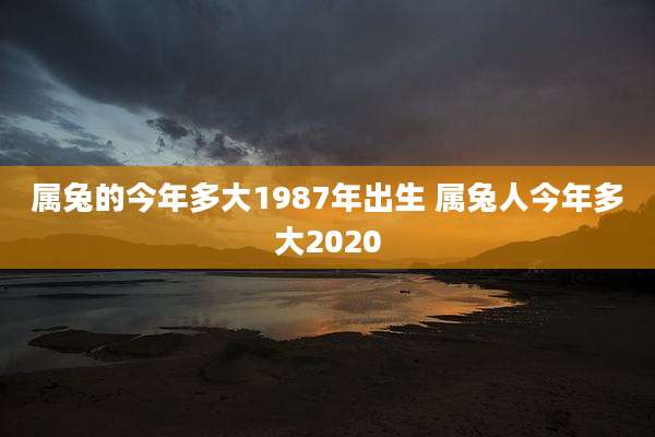 属兔的今年多大1987年出生 属兔人今年多大2020