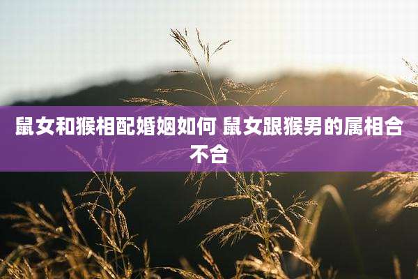 鼠女和猴相配婚姻如何 鼠女跟猴男的属相合不合