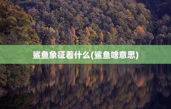 鲨鱼象征着什么(鲨鱼啥意思)