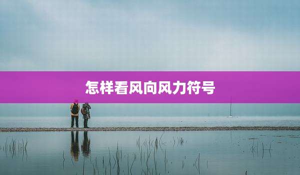 怎样看风向风力符号