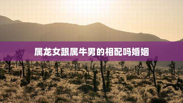 属龙女跟属牛男的相配吗婚姻