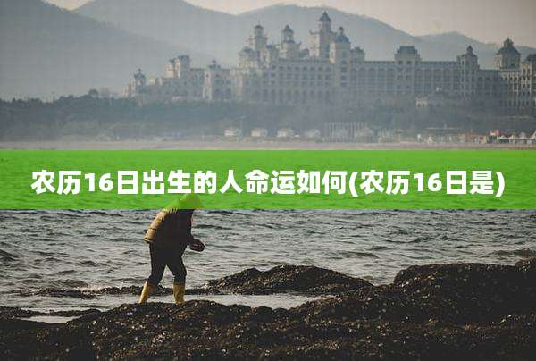 农历16日出生的人命运如何(农历16日是)