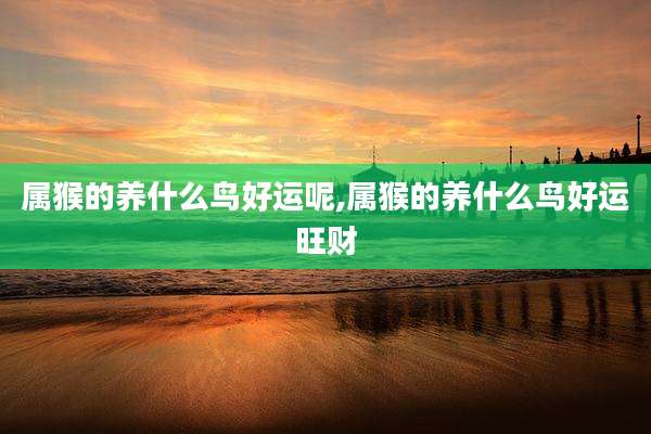 属猴的养什么鸟好运呢,属猴的养什么鸟好运旺财