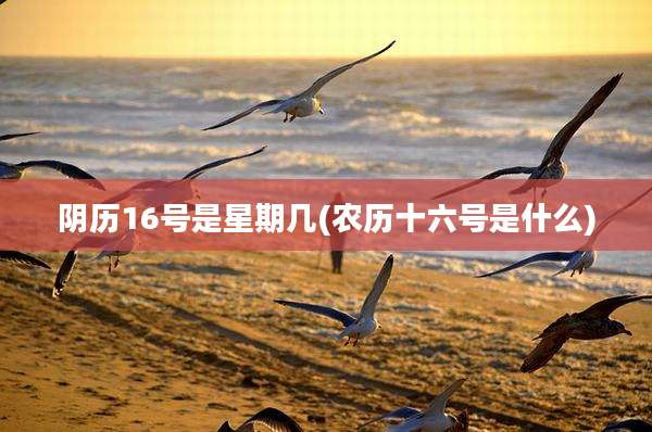 阴历16号是星期几(农历十六号是什么)
