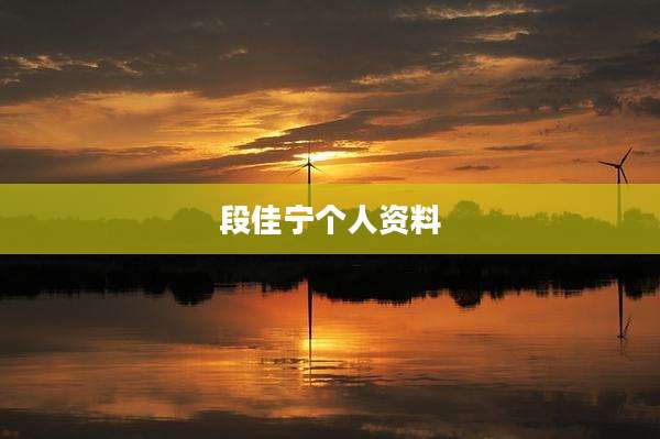 段佳宁个人资料