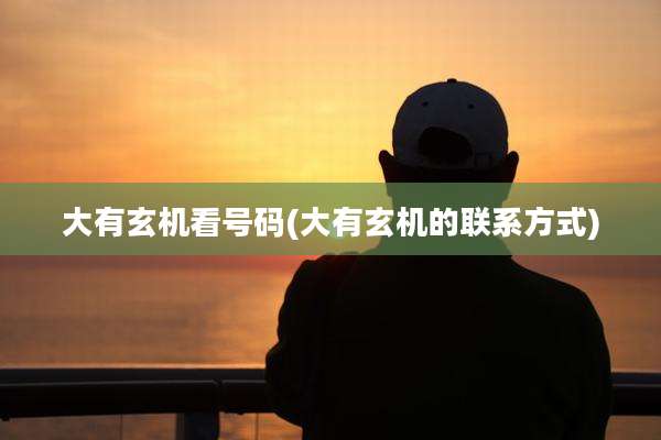 大有玄机看号码(大有玄机的联系方式)