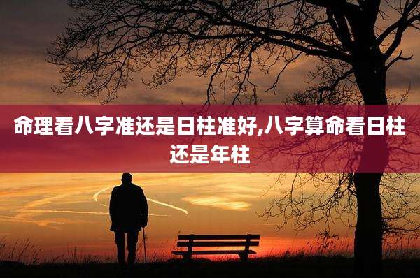 命理看八字准还是日柱准好,八字算命看日柱还是年柱