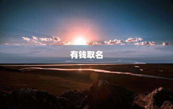 有钱取名