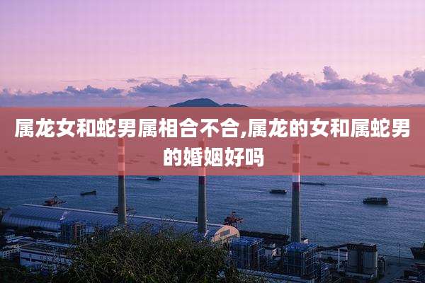 属龙女和蛇男属相合不合,属龙的女和属蛇男的婚姻好吗