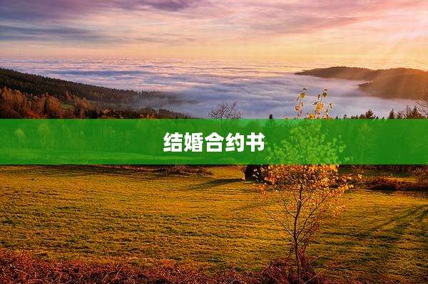 结婚合约书