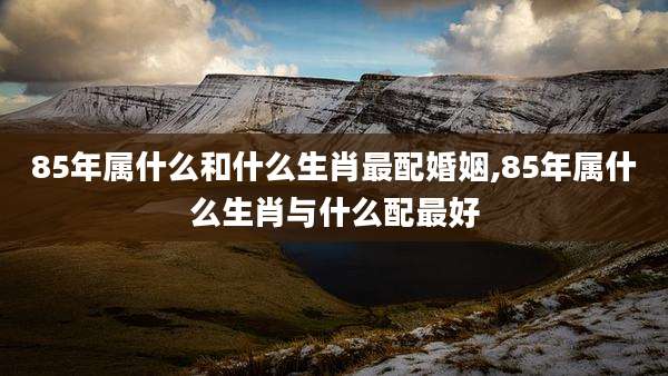85年属什么和什么生肖最配婚姻,85年属什么生肖与什么配最好