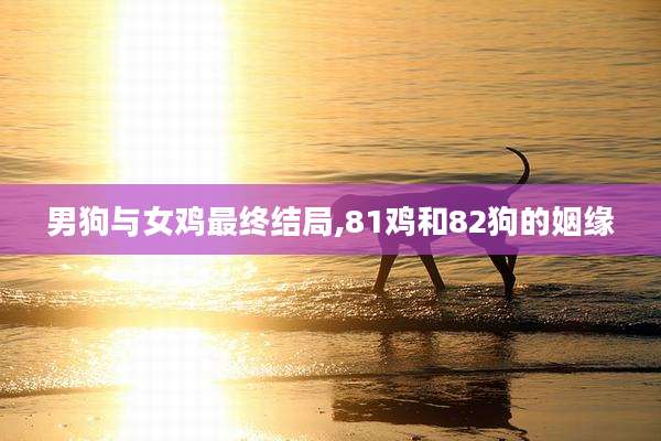 男狗与女鸡最终结局,81鸡和82狗的姻缘