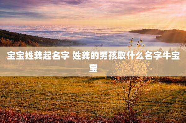 宝宝姓龚起名字 姓龚的男孩取什么名字牛宝宝