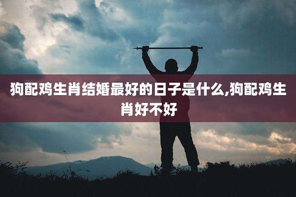 狗配鸡生肖结婚最好的日子是什么,狗配鸡生肖好不好