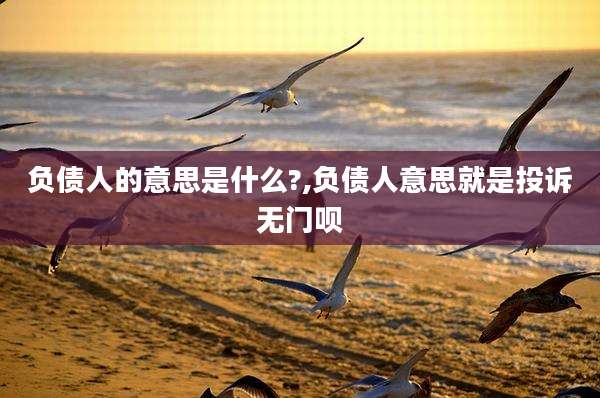 负债人的意思是什么?,负债人意思就是投诉无门呗