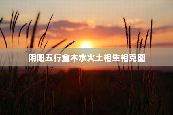 阴阳五行金木水火土相生相克图