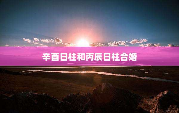 辛酉日柱和丙辰日柱合婚
