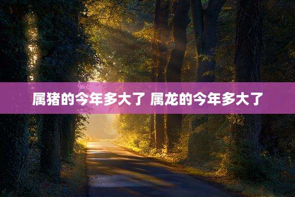 属猪的今年多大了 属龙的今年多大了