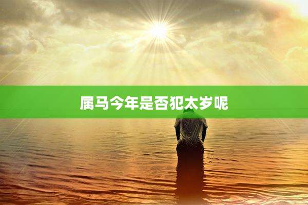 属马今年是否犯太岁呢