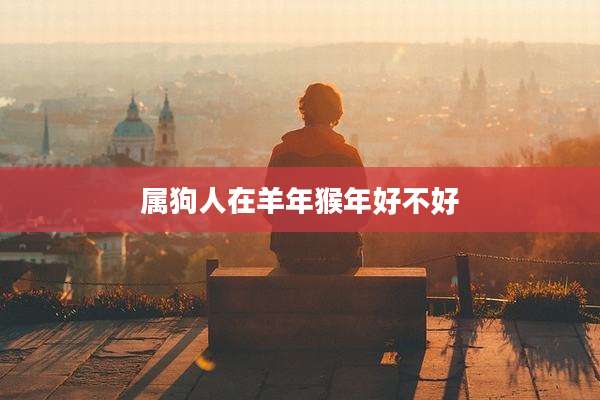 属狗人在羊年猴年好不好