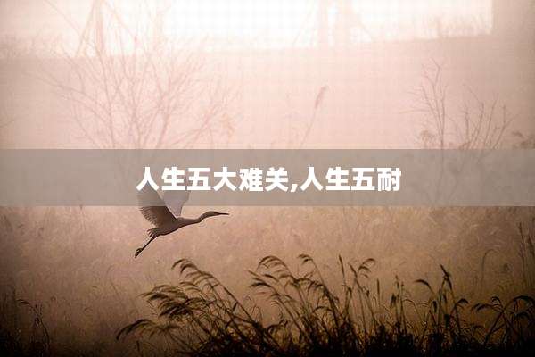 人生五大难关,人生五耐