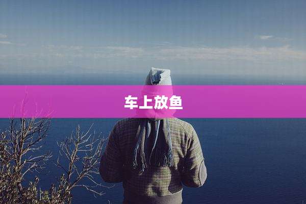 车上放鱼