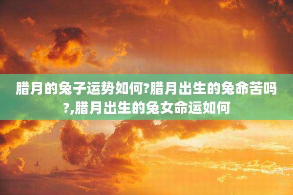 腊月的兔子运势如何?腊月出生的兔命苦吗?,腊月出生的兔女命运如何