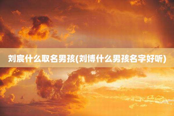 刘宸什么取名男孩(刘博什么男孩名字好听)