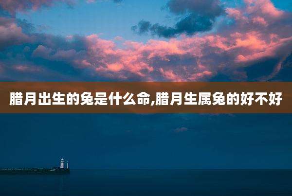 腊月出生的兔是什么命,腊月生属兔的好不好