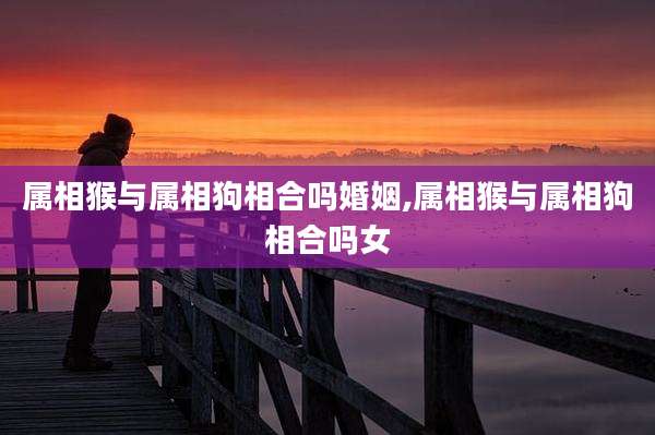 属相猴与属相狗相合吗婚姻,属相猴与属相狗相合吗女