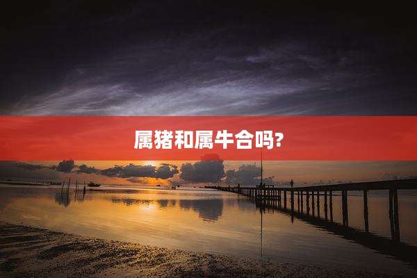 属猪和属牛合吗?