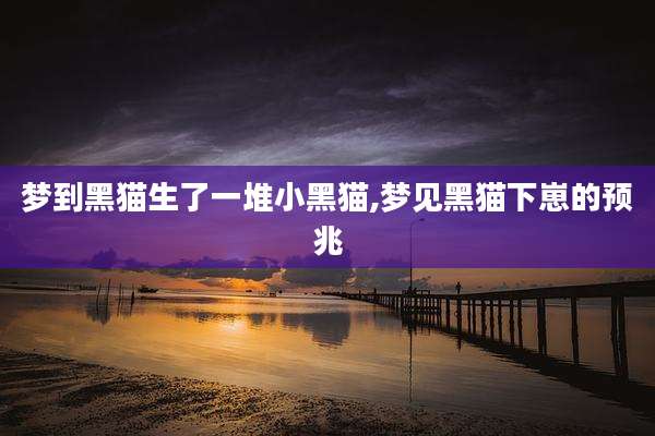 梦到黑猫生了一堆小黑猫,梦见黑猫下崽的预兆