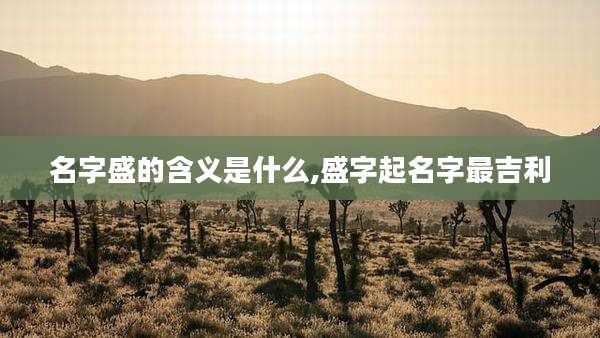 名字盛的含义是什么,盛字起名字最吉利
