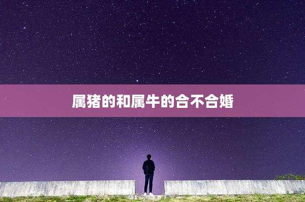 属猪的和属牛的合不合婚