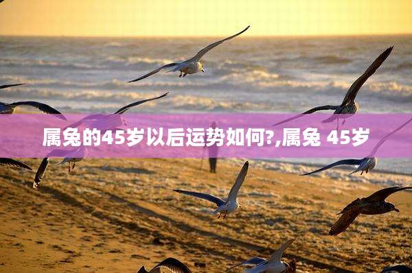 属兔的45岁以后运势如何?,属兔 45岁