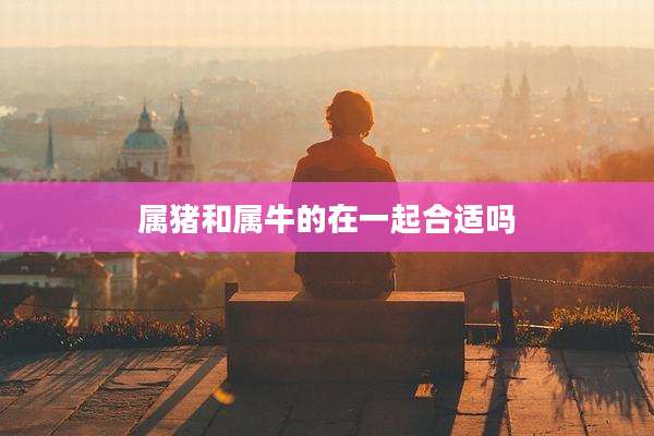 属猪和属牛的在一起合适吗