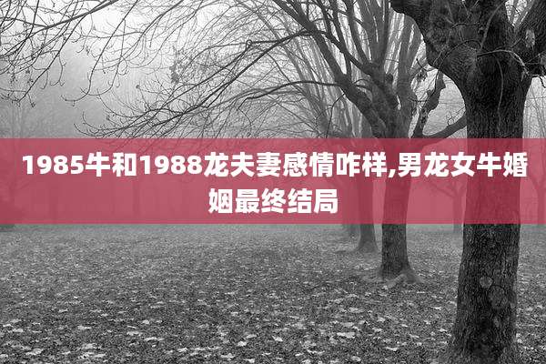 1985牛和1988龙夫妻感情咋样,男龙女牛婚姻最终结局