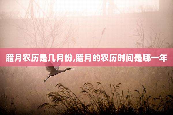 腊月农历是几月份,腊月的农历时间是哪一年