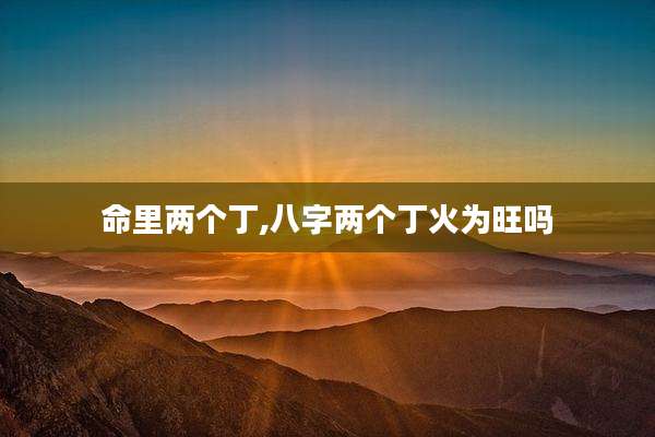 命里两个丁,八字两个丁火为旺吗