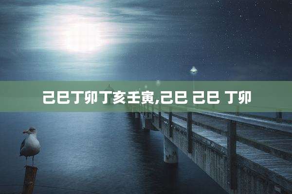 己巳丁卯丁亥壬寅,己巳 己巳 丁卯
