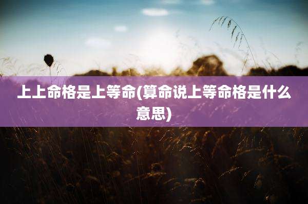 上上命格是上等命(算命说上等命格是什么意思)