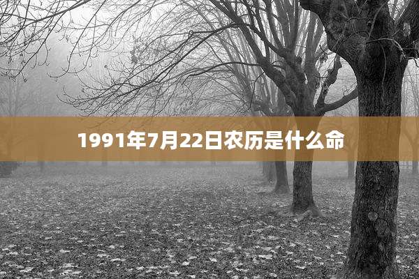 1991年7月22日农历是什么命