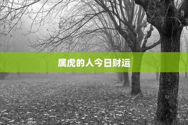 属虎的人今日财运