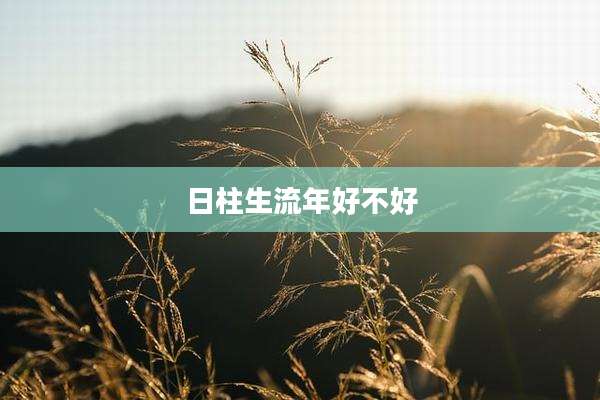 日柱生流年好不好