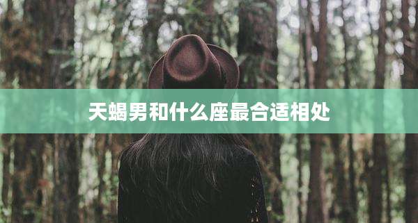 天蝎男和什么座最合适相处